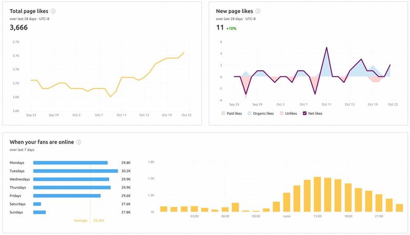 Social Media Analytics in SEMrush